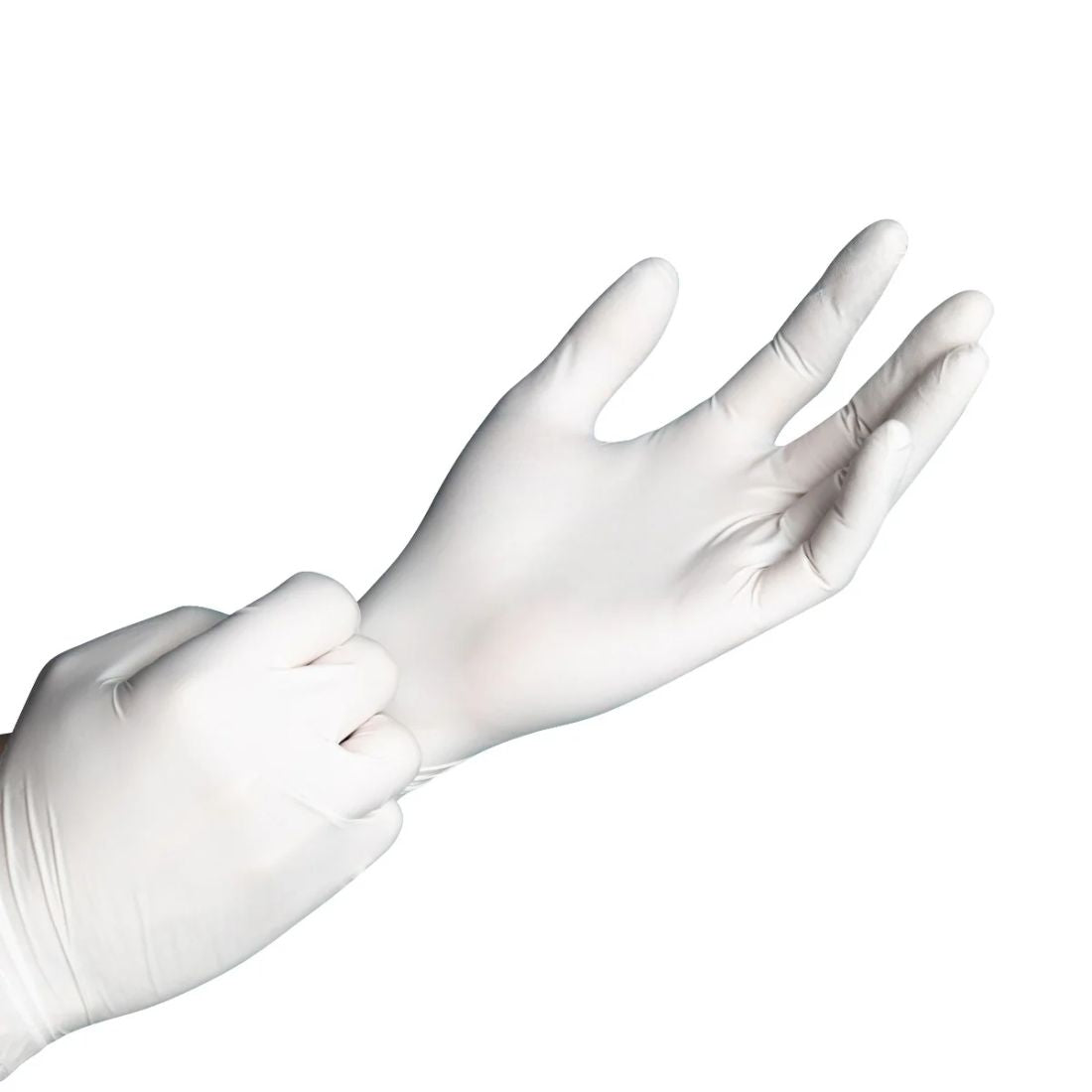 Latex Gloves -100 /Pk